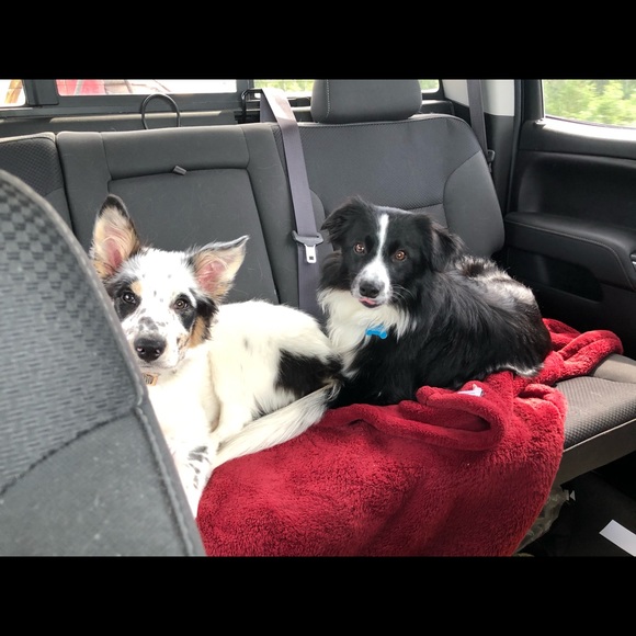 Meet your Posher, Lisa - Picture 7 of 9